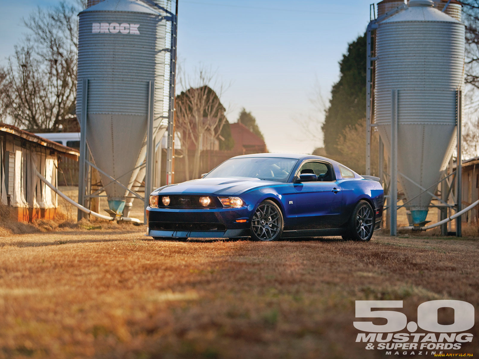 , mustang